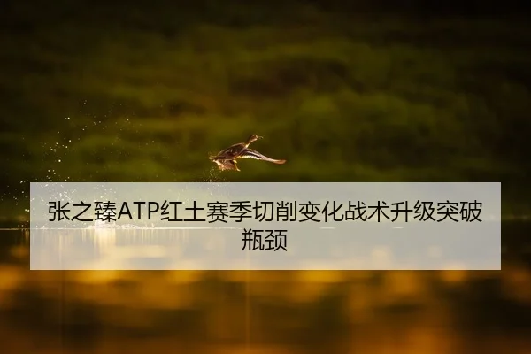 张之臻ATP红土赛季切削变化战术升级突破瓶颈