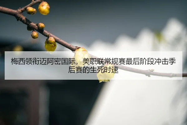 mei-xi-ling-xian-mai-a-mi-guo-ji-mei-zhi-lian-chang-gui-sai-zui-hou-jie-duan-chong-ji-ji-hou-sai-de-sheng-si-shi-su-3-143.jpg