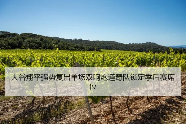 da-gu-xiang-ping-qiang-shi-fu-chu-dan-chang-shuang-xiang-pao-dao-qi-dui-suo-ding-ji-hou-sai-xi-wei-2-969.jpg