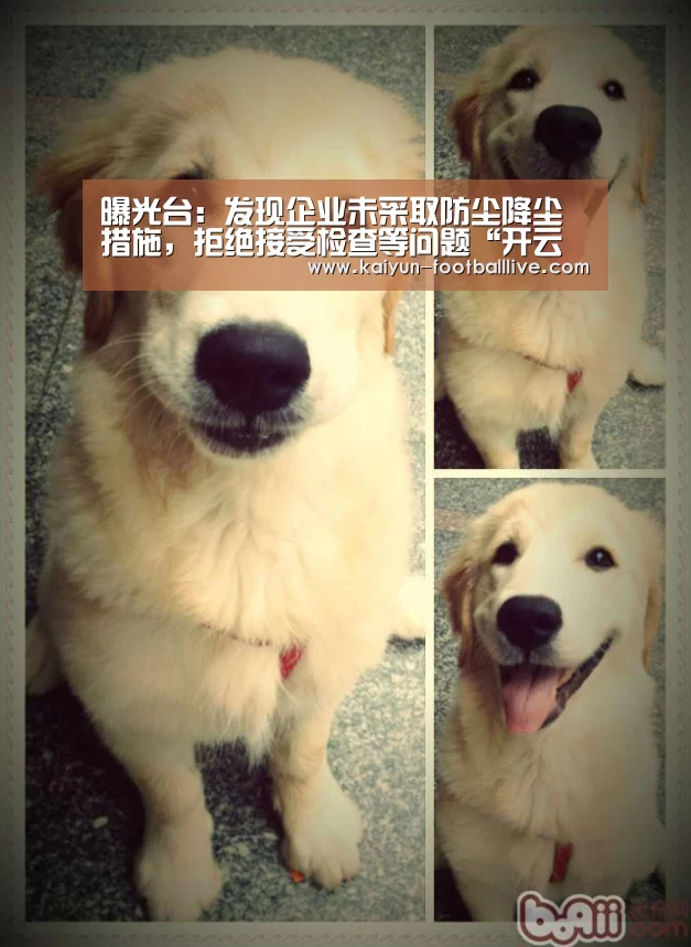 开云综合娱乐平台