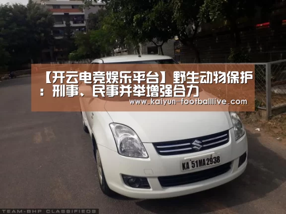 开云体育娱乐平台