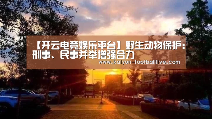 开云综合娱乐平台