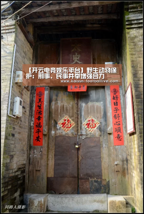 开云电竞娱乐平台