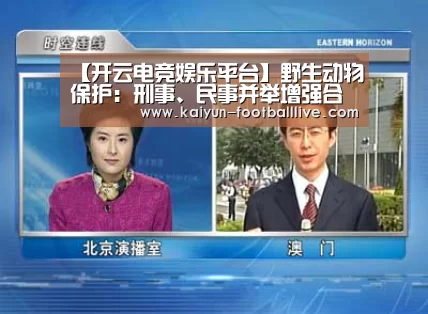 开云体育娱乐平台